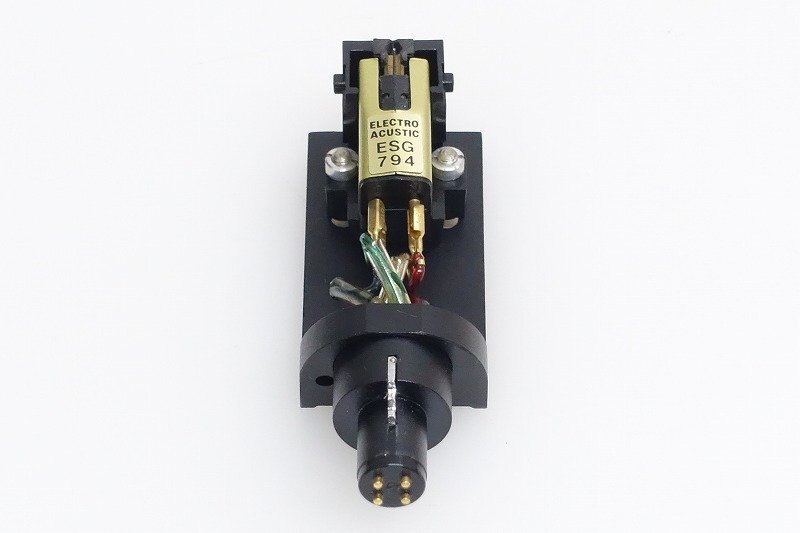 ELECTRO ACUSTIC ESG-794E