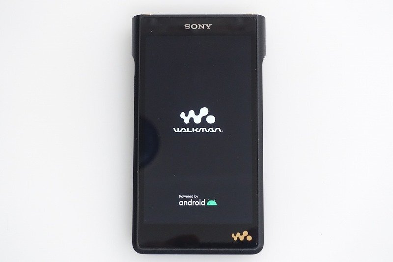 SONY NW-WM1AM2